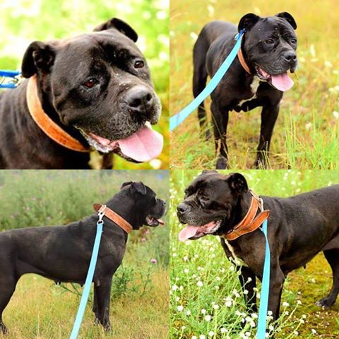 KOŃSKIE czyja zguba?? Kto rozpoznaje dziewczynkę ?